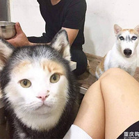 �Դӻ���ģʽ�������ڶ�������֮��