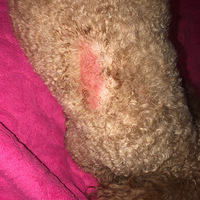 ��û�а��ҿ����Ҽҹ���������ô��