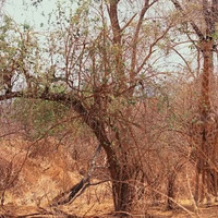 ͼ��αװ�Ķ�������ҵ����������۾��������ˡ���