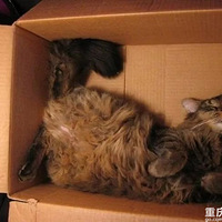 ˯��������������˵��һ��������