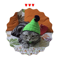 �������ν���������������䡱