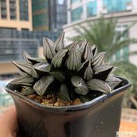 �Լ����Ļ����ٲ��ÿ�Ҳϲ��