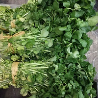 �������������������пڸ��˳���