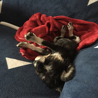 ��˯�ˣ�����ô���ֵģ�