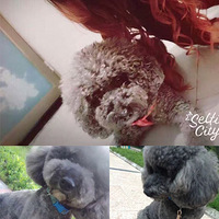 �ҵĹ���ȥ������