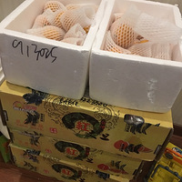 ɹɹڵˮЩ