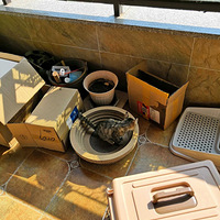 ��û�������껨è�ģ��͸��ֹ���