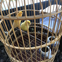 ��ֻ�����������������������ˡ������ɹ