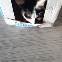 ������è