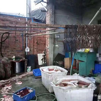 �����ֳ�ͨ����