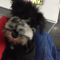 �Ҽҹ��Ӳ������գ�����ƨ��