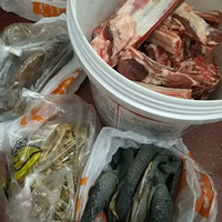 �Լҿ����Źǵ�ǰ������+��11�½����ʲô��