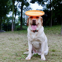 �������ȳ衿�ճ����ա�����?ƻ��