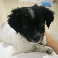 �������ȳ衿û���������