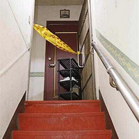 Ű��Ů���ֶ������� 21��ĸ��������5��Ҳ��2��