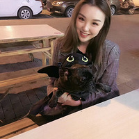 ������ħ�������Ұ�