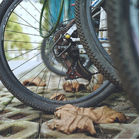 ���ﲻ����̫��ֻҪ��鿵���Ҷ