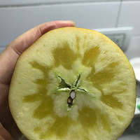 Ϊ˹㣡ıĳƻ