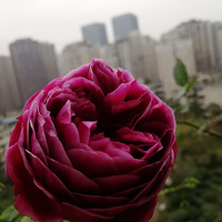 �ҵ���̨�¼�