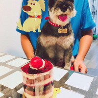 �׼�2����