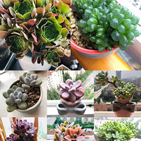 �ҵĳ��������ˣ��ٺ�