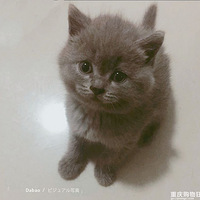 �̶�������£��ʹ����������⡣����