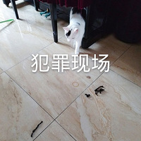 ץ��һ�������ֳ�