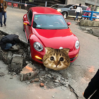 �칫�ҵ����������·��һ�첻������ö���������������š�