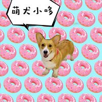 ������˳�����Ƹ����幬���¸ҿ»����������ռ�