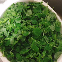 �⼸����㶹���ر�ó�