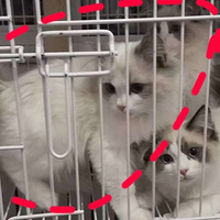 ���λ����