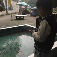 �������ˣ��㲻�õ���