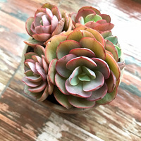 ��Ҳ��ɹɹ�ҵ�����