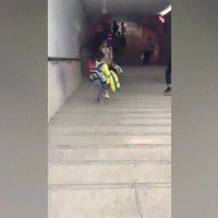 ������֮ǰ���������������衱��Щ���ӵ�ů��˲�䣬���������ˣ�