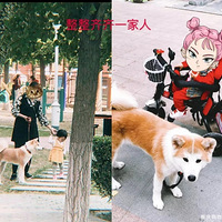 ǧ��Ҫ����İ��������������������������������