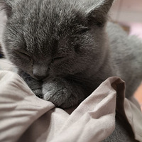 ����������е�ճ