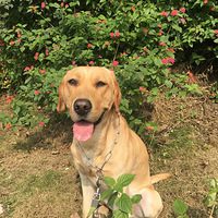 ������õ����������һ���ȥ�˰�