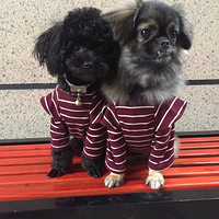 �������ȳ衿������ֻ�ذ��칷����ĸŮ���మ��ɱ���ֶ�