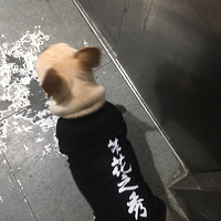 һ���˳�ȥ�ˣ����ǿ��İ�