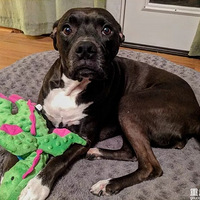 ������չʾ����������