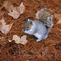 Ӵľ˯šһɰ󻺽һ¡