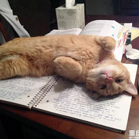 �뷽�跨������ע��Ŀɰ��ȳ���