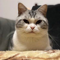 �������ȳ衿��ү�ӵĵ�μ�¼