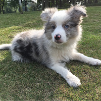 лл���������ε�����������õ�   ��  �����ɳ���