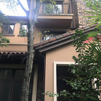 װ2019װռǡ