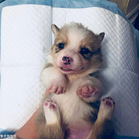 �»����������ռ�