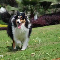 ����ʱ����׷ף��ҵĶ��ȥ��������