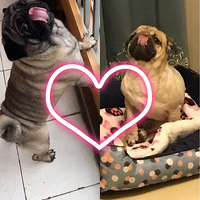 ���շ�������