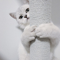 ����������һ�䣬�ȸ��Լ������