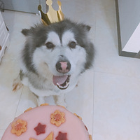 ����6��ġ����ӡ��߶��ˣ�ϣ����Ұ��æ��